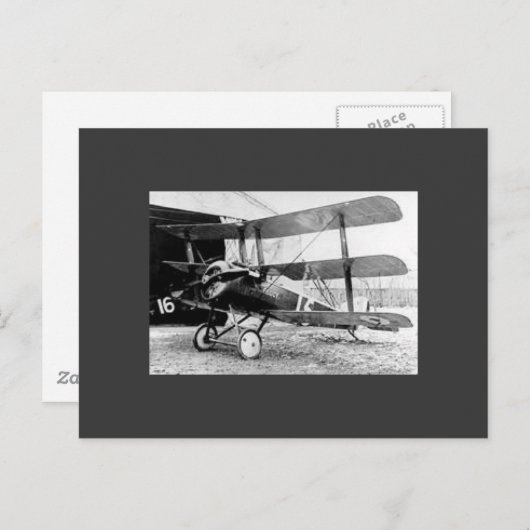 Carte Postale Triplan Sopwith (Devant / Derrière)