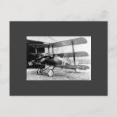 Carte Postale Triplan Sopwith (Devant)