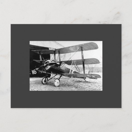 Carte Postale Triplan Sopwith (Devant)