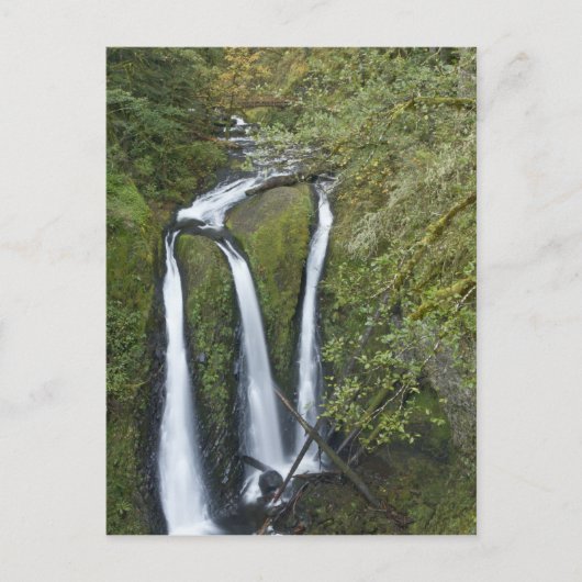 Carte Postale Triple Falls, gorge de Columbia (Devant)