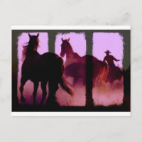 Triptyque de l'équitation sauvage