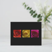 Carte Postale Triptyque Rose orange rose jaune (Debout devant)
