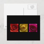 Carte Postale Triptyque Rose orange rose jaune (Devant / Derrière)