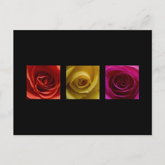 Carte Postale Triptyque Rose orange rose jaune (Devant)