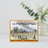 Carte Postale Triste histoire du pigeon voyageur —~ (Debout devant)