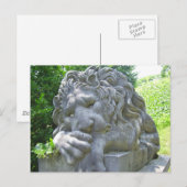 Carte postale triste Lion (Devant / Derrière)