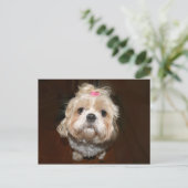 Carte Postale triste shih tzu (Debout devant)