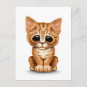 Carte Postale Triste Tabby Kitten Chat orange cuite blanc (Devant)
