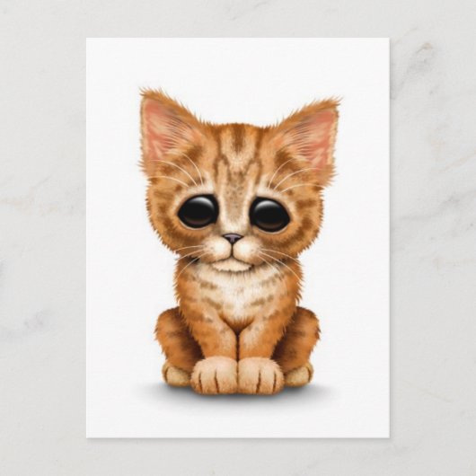 Carte Postale Triste Tabby Kitten Chat orange cuite blanc (Devant)