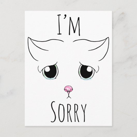 Carte Postale Triste visage de chat : Je suis désolé (Devant)