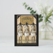 Carte postale Triumphant (Debout devant)