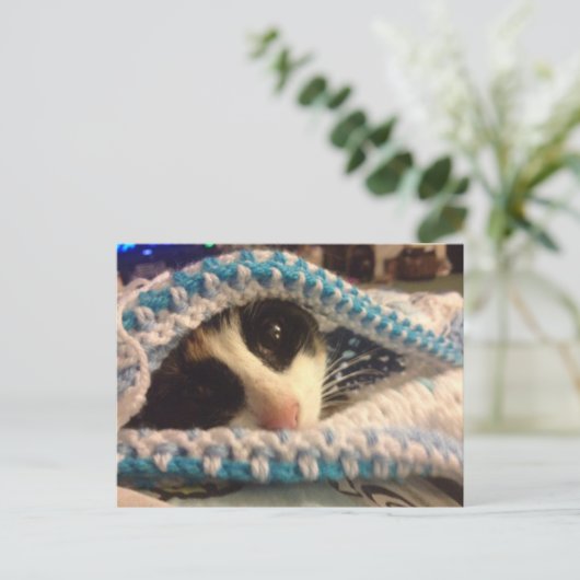 Carte Postale Trixie et le blues (Debout devant)