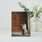 Carte Postale Trogir 16 (Debout devant)