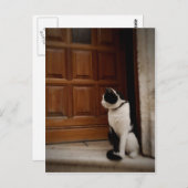 Carte Postale Trogir 16 (Devant / Derrière)