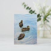 Carte Postale Trois (Debout devant)