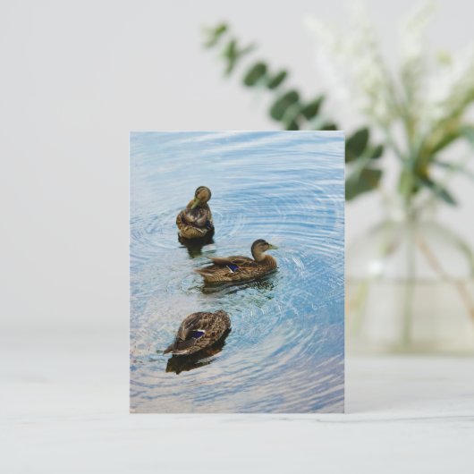 Carte Postale Trois (Debout devant)