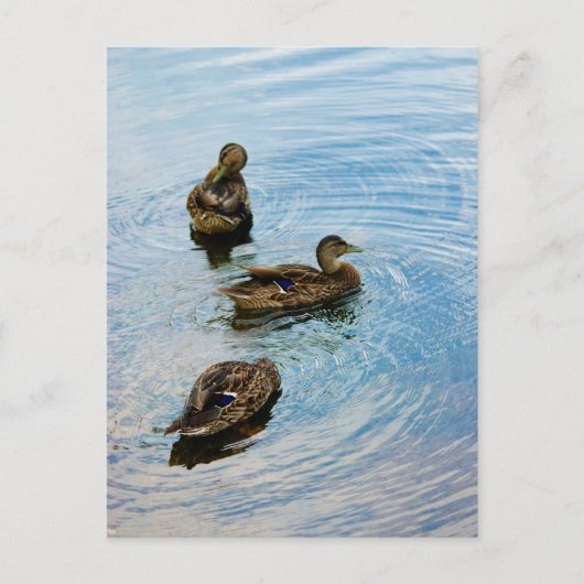 Carte Postale Trois (Devant)