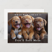 Carte Postale Trois adorables chiots drôles riant (Devant / Derrière)