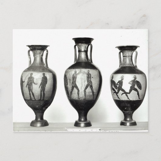 Carte Postale Trois amphores panathéniques (Devant)