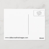 Carte Postale Trois ânes (Dos)