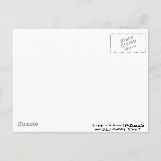 Carte Postale trois babioles (Dos)