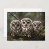 Carte Postale Trois Bébés Chouettes Mignonnes Aux Grands Yeux (Devant / Derrière)