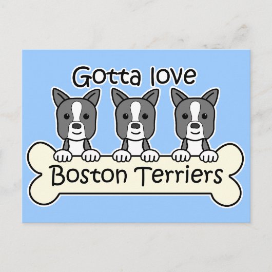 Carte Postale Trois Boston Terriers (Devant)