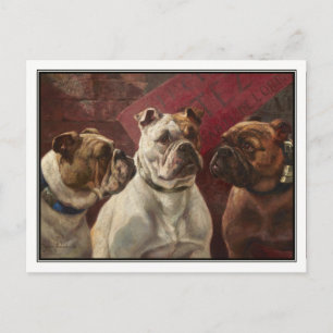 Carte Postale Trois Bulldogs de Charles Boland