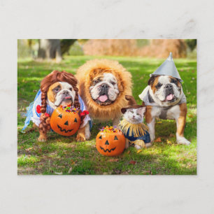 Carte Postale Trois Bulldogs en costumes