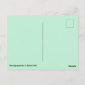 Carte postale Trois Bunnies de Pâques (Dos)