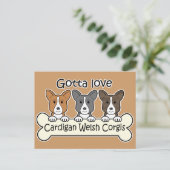 Carte Postale Trois Cardigan Welsh Corgis (Debout devant)
