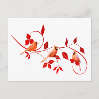 Carte Postale Trois cardinaux