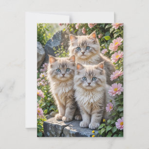 Carte Postale Trois chatons bouffants en fleurs roses