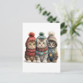 Carte Postale Trois chatons en pulls (Debout devant)