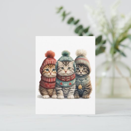 Carte Postale Trois chatons en pulls (Debout devant)