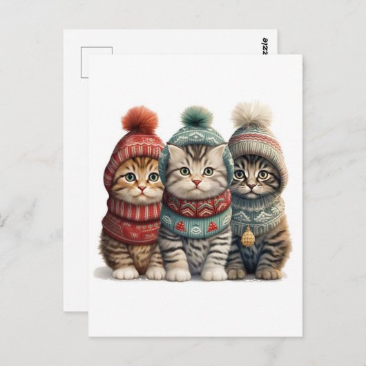 Carte Postale Trois chatons en pulls (Devant / Derrière)