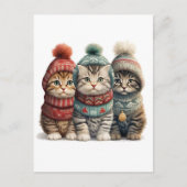 Carte Postale Trois chatons en pulls (Devant)