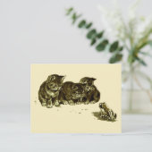 Carte Postale Trois chatons et une grenouille (Debout devant)