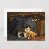 Carte Postale Trois chatons | Julius Adam le Jeune (Devant / Derrière)