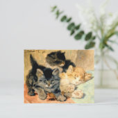 Carte Postale Trois chatons mignons - Ronner (Debout devant)