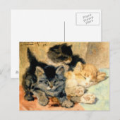 Carte Postale Trois chatons mignons - Ronner (Devant / Derrière)