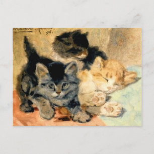 Carte Postale Trois chatons mignons - Ronner