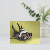 Carte Postale Trois chatons se serrant dans leurs bras (Debout devant)