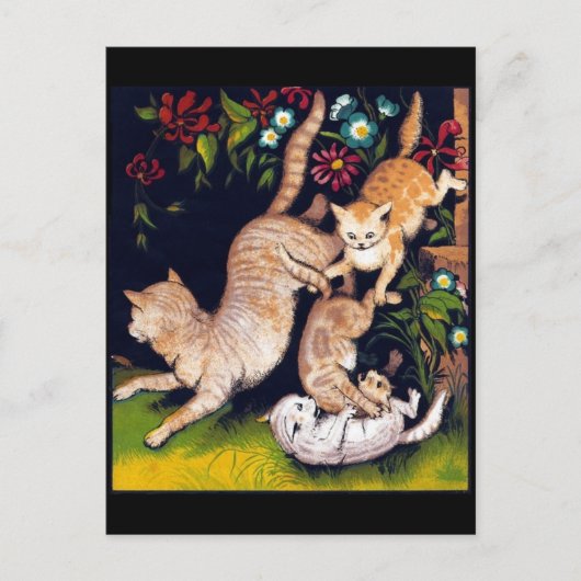 Carte Postale Trois chats joueurs (Devant)