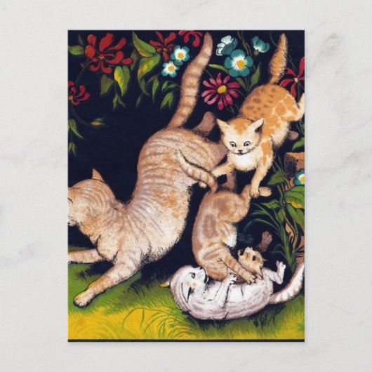 Carte Postale Trois chats joueurs (Devant)
