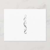 Carte Postale Trois chats orange drôles blancs chantant (Dos)