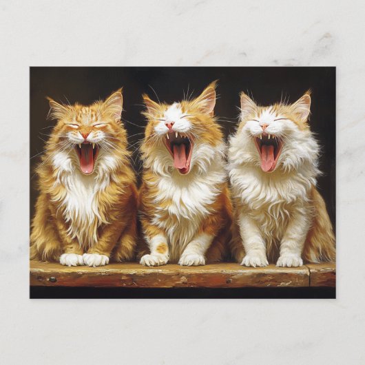 Carte Postale Trois chats orange drôles blancs chantant (Devant)