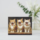 Carte Postale Trois chats orange drôles blancs chantant (Debout devant)