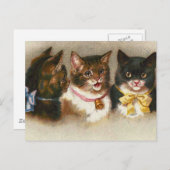 Carte postale "Trois chats Vintages" (Devant / Derrière)