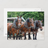 Carte Postale Trois Chevaux Brown (Devant / Derrière)